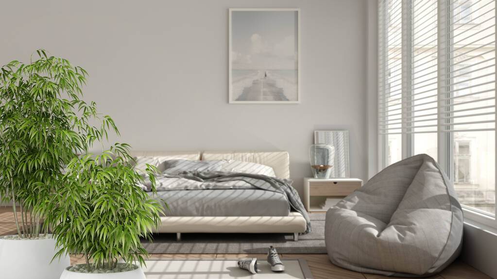 Ghid pentru design interior Zen Minimalist