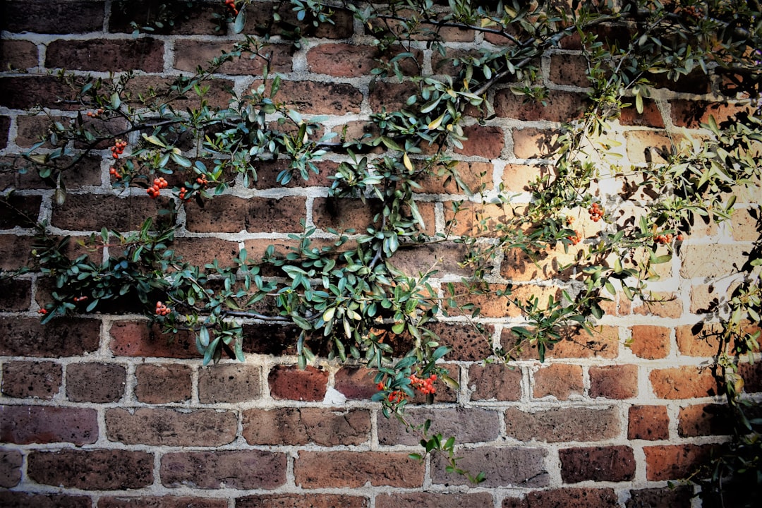 Photo Exposed brick