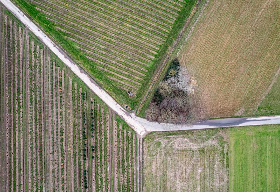 Photo Geometric patterns